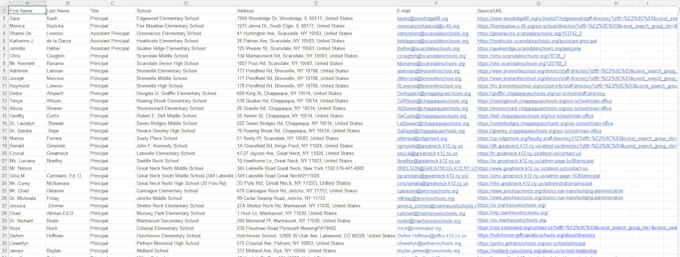 do data entry, copy paste, data scraping, email leads, pdf to excel data entry