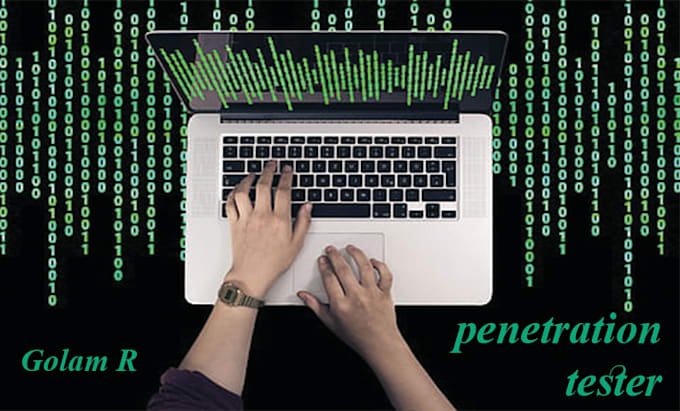 do penetration testing with professional reports