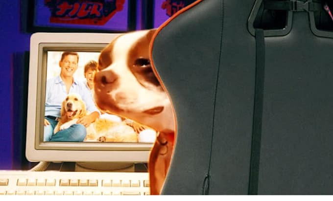 make cute animal meme tiktok in any context
