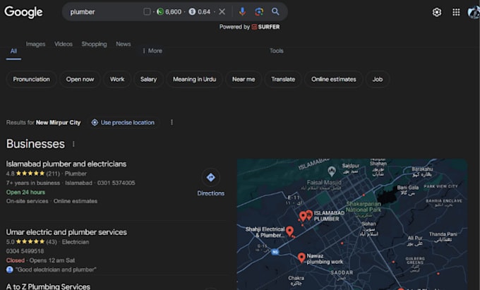 provide google profile optimization services for local SEO