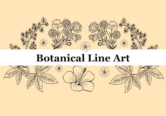 draw minimalist botanical line art of flowers, plants and leaves