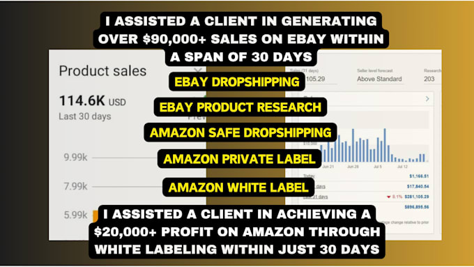 elevate your ebay dropshipping , amazon dropshipping , winning product research