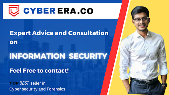provide expert information security consultation services