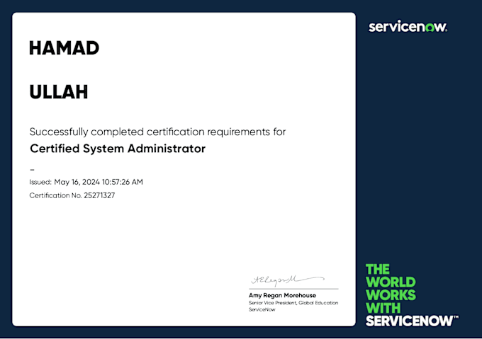 work on servicenow itsm, portal, cmdb basic, integration,nowmobile,scripting