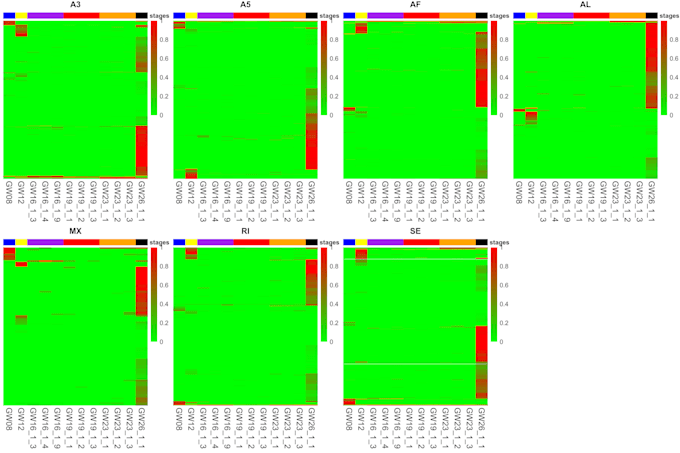 give you comprehensive and insightful data analysis reports