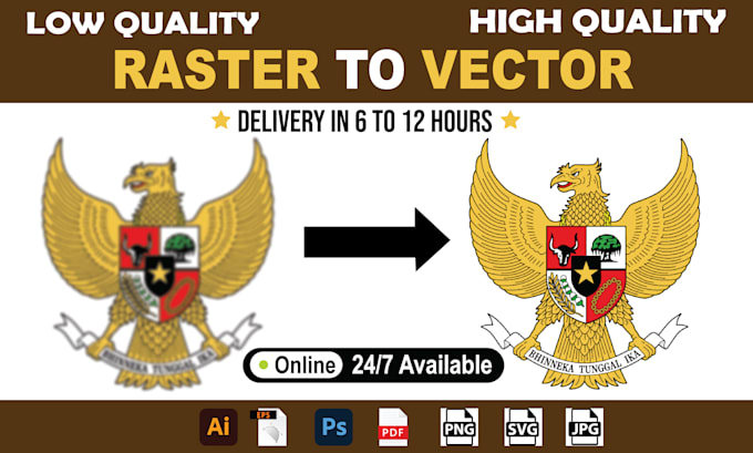 do professional vector tracing, jpg to vector, raster to vector, logo redesign