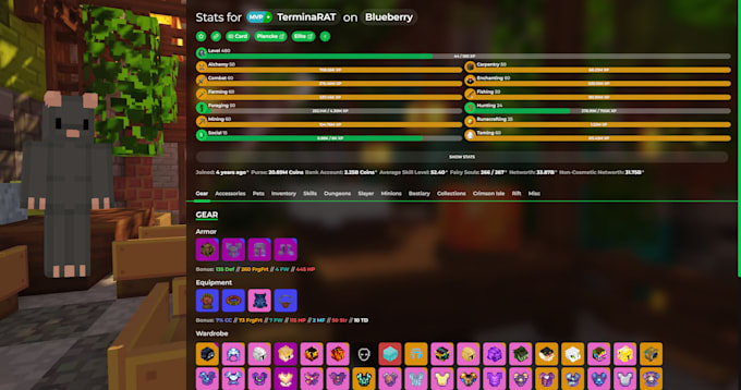 help you in hypixel skyblock as endgame player