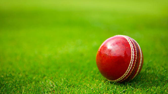 do sports summaries and analysis