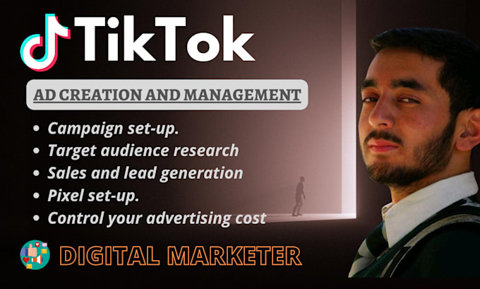 setup, manage and run tiktok ads campaign , tiktok advertisement