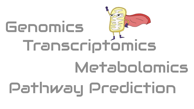 do genome and transcriptome assembly, annotation, and pathway creation