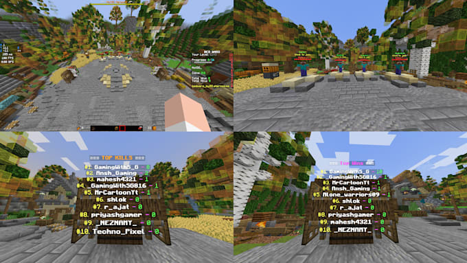 develop minecraft servers I setup plugins I optimization