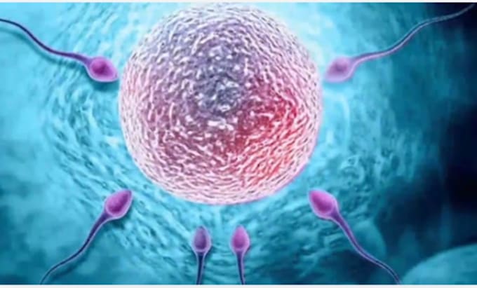 create high quality realistic 3d medical animation, science, modeling