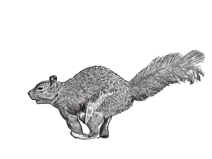 do traditional and digital illustrations for you