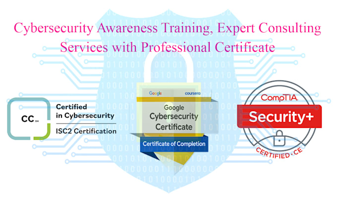 provide cyber security consultation and training for professional certification