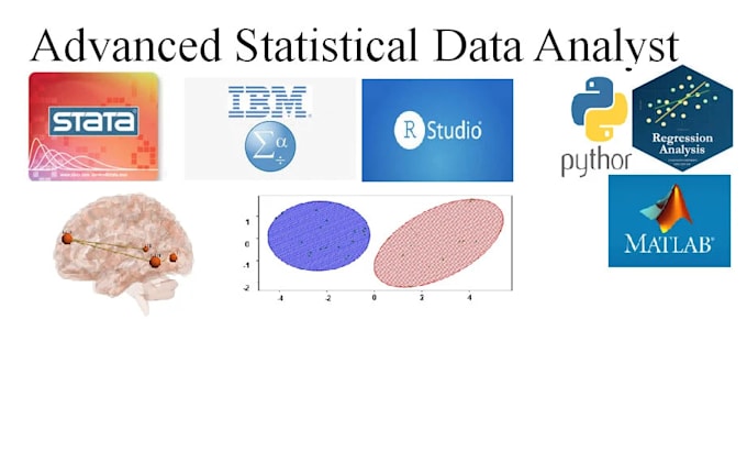 do advanced statistics using stata, spss, python, matlab
