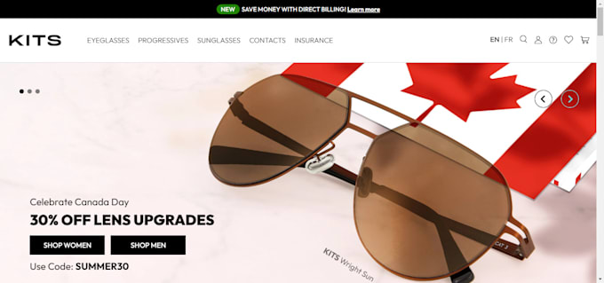 design profitable eyeglasses store sunglasses shopify store dropshiping website
