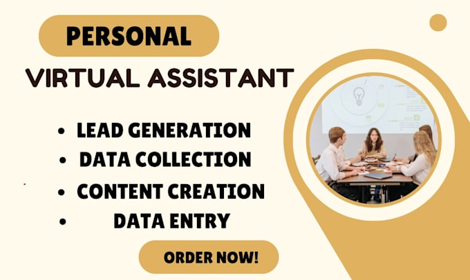be your shopify store va and virtual executive assistance for your store
