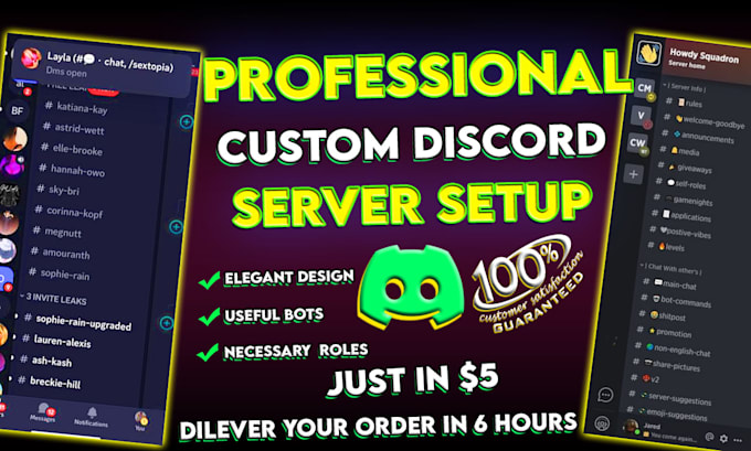 do professional custom discord server setup for you within 6 hours