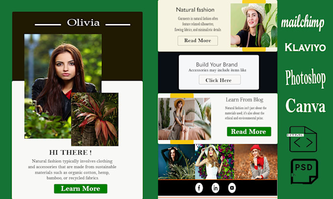 expertly design an email marketing mailchimp email template newsletter