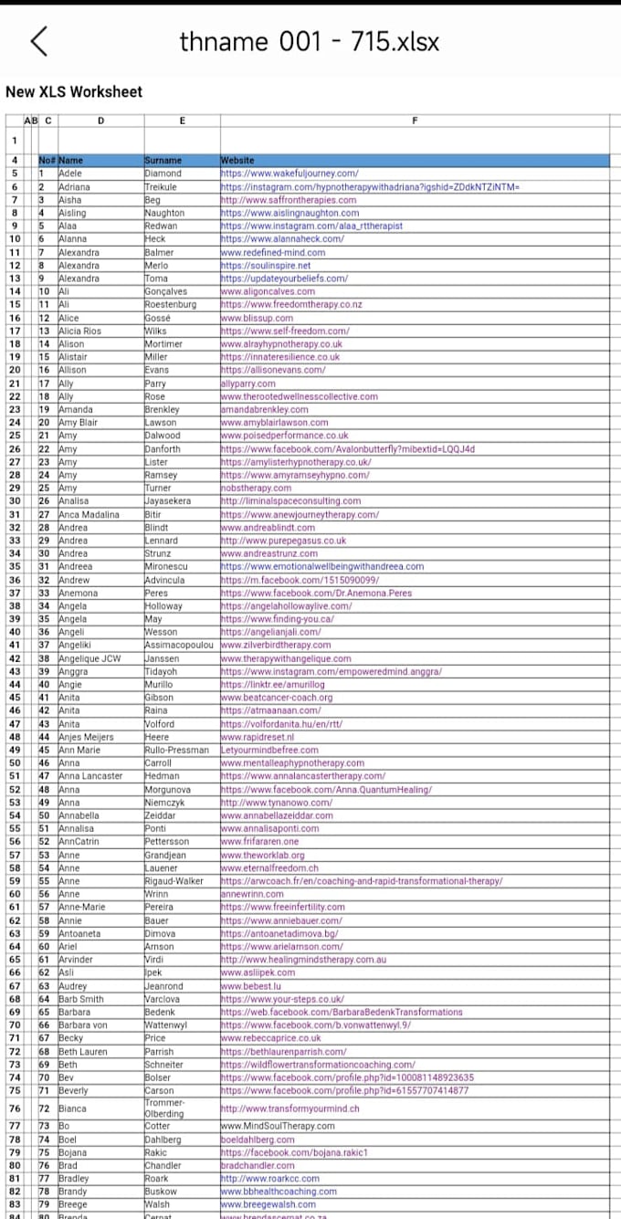 do data entry on spreadsheet with in 24 hours
