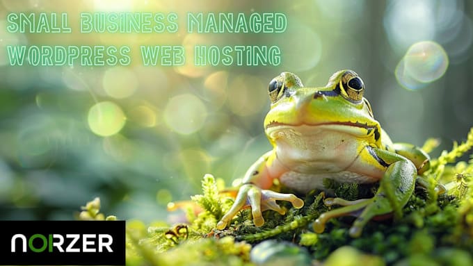 provide small business managed wordpress website hosting fast and secure