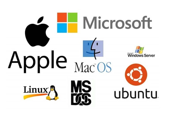 install all operating server and its services on server