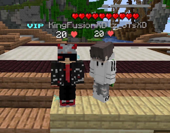 beat minecraft and bring elytra and dragon heads for you