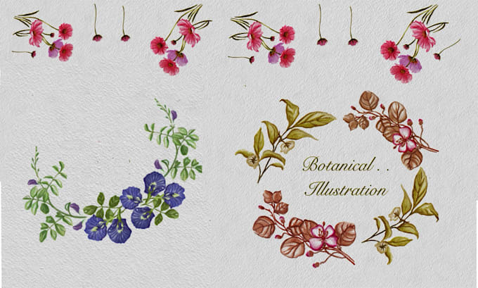draw botanical illustrations in watercolor