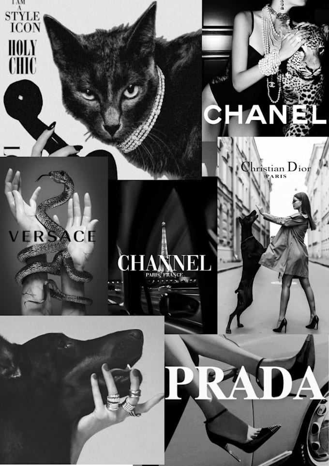 create a mood and concept boards for you