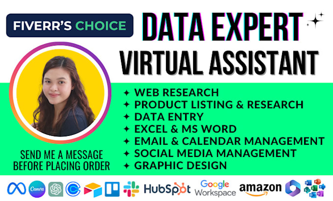 be your virtual assistant for data entry, web research