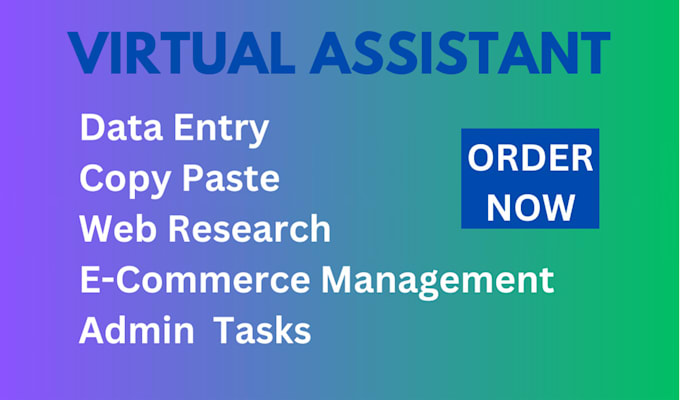 be your virtual assistant for copy paste, web research and data entry