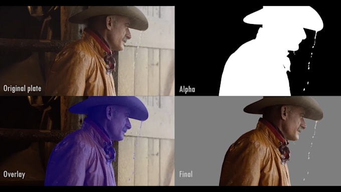 do  professional rotoscoping, paint,composing