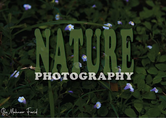 do professional nature photography for your projects