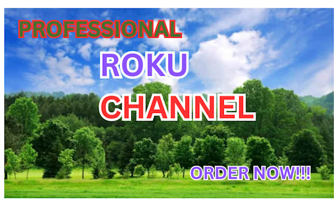 develop a professional roku channel