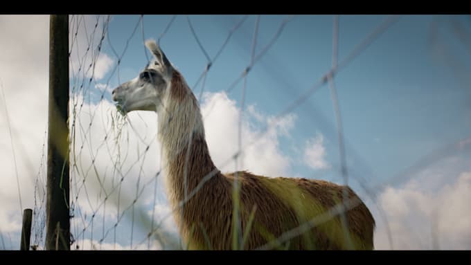 color grade your videos in davinci resolve