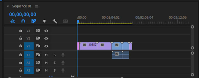 edit long video for youtube  in premiere pro