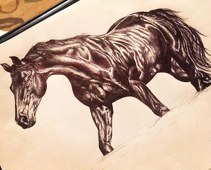 Draw lifelike custom pencil drawings of animals and pets by Zaraellice ...