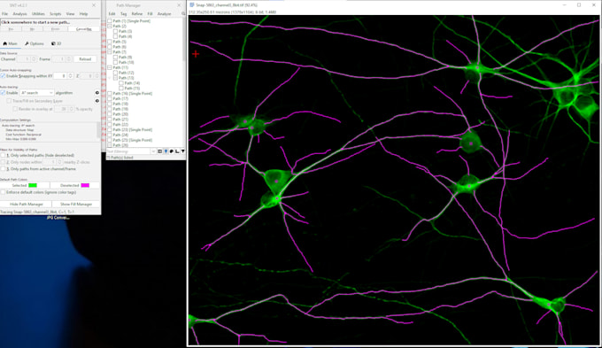 trace and  annotate neurons cells and neurites for ai algorithms
