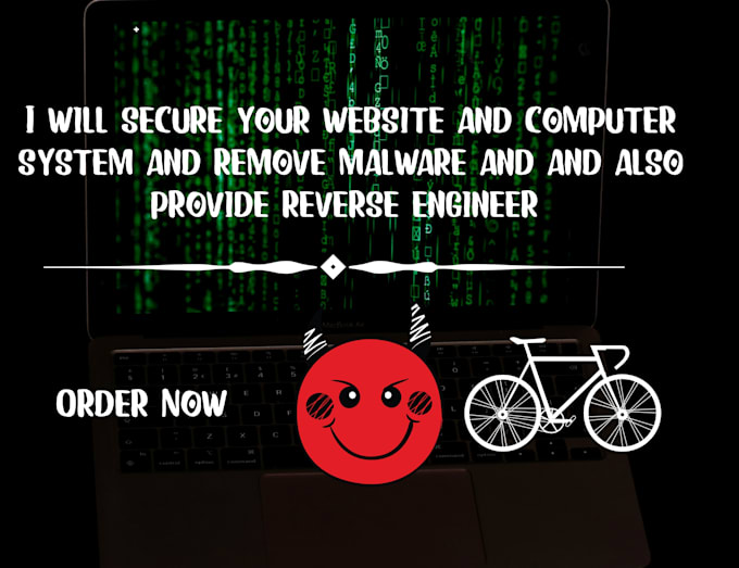 check website security and exploit vulnerability