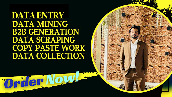 serve as excel data entry, data conversion, data mining
