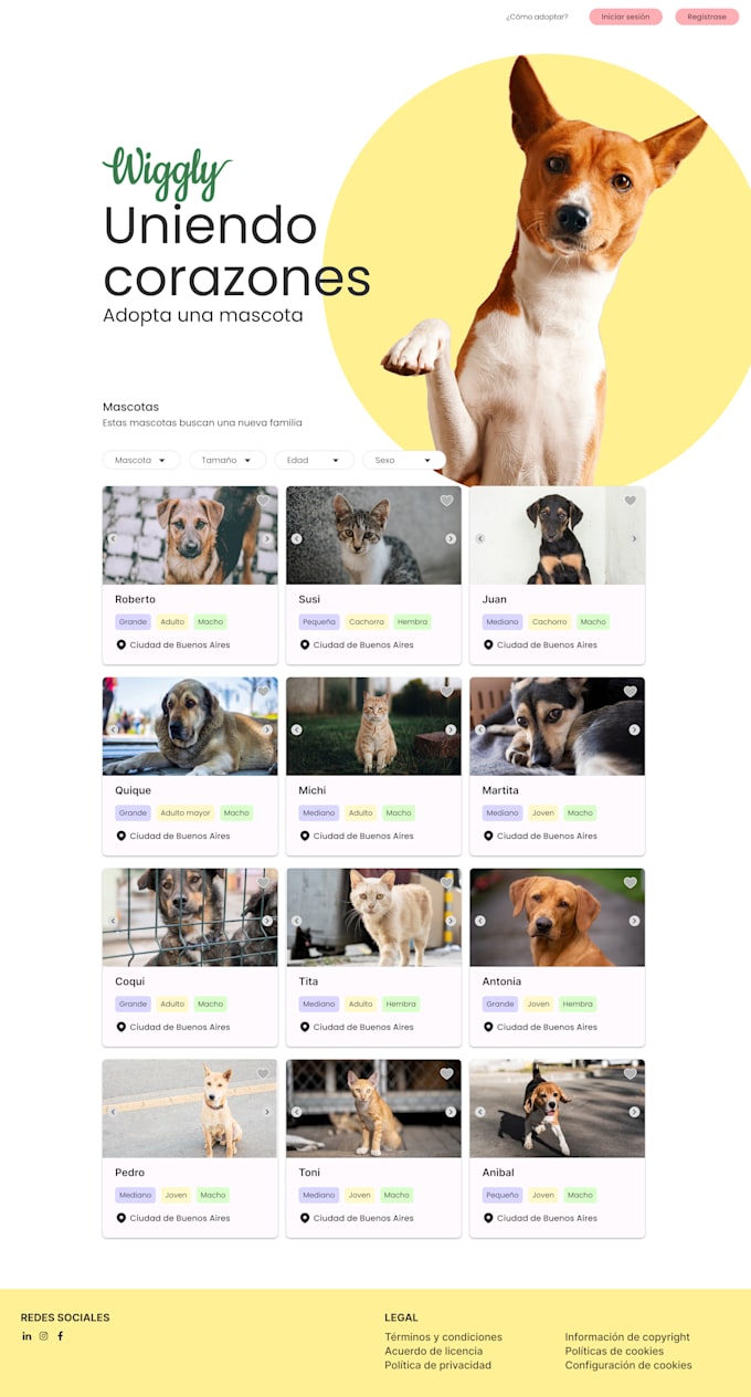 ux UI design and product design for digital products