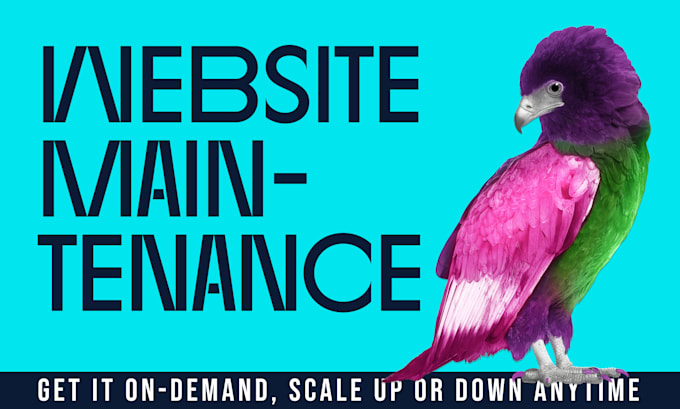 ensure expert maintenance of your wordpress site