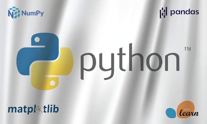 fast and accurate python assignment solutions