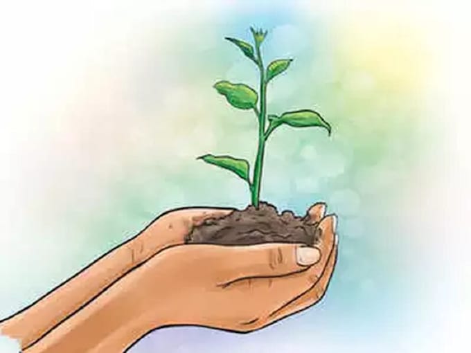 plant trees for you, eco friendly, sustainable and impactful