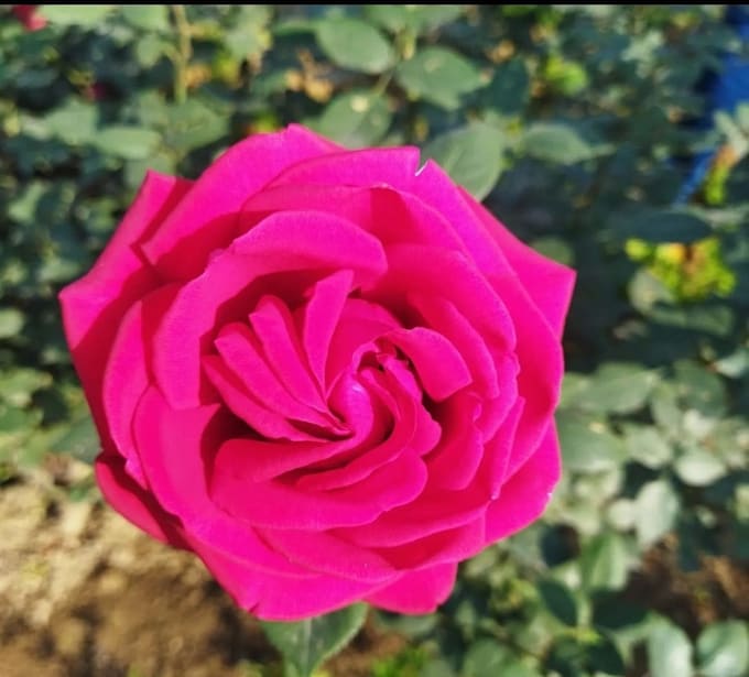 capture natures essence in every frame