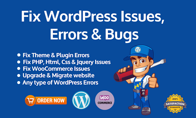 provide wordpress website maintenance as your website manager