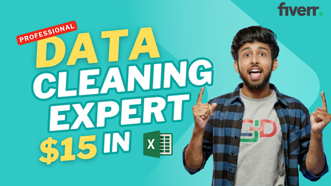 Do professional excel data cleaning and formatting by Ankit_ghosh47 ...