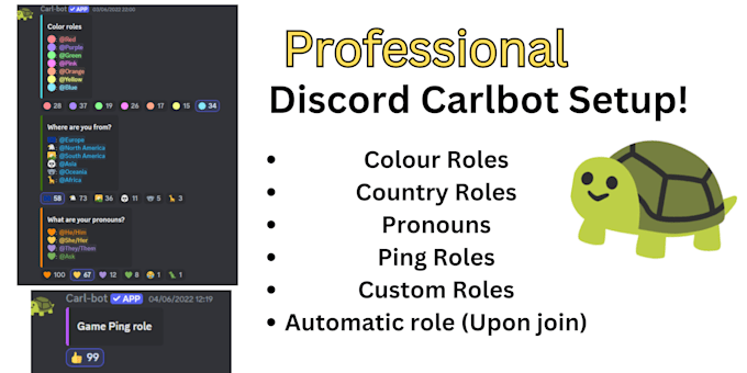 Set up carl bot roles on your discord server by Francescahall_ | Fiverr