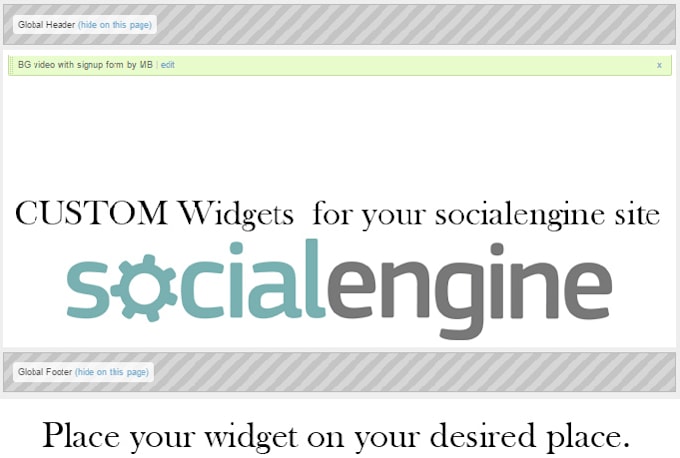create you a widget for your socialengine site