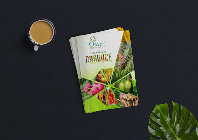 design excellent brochure for your brand